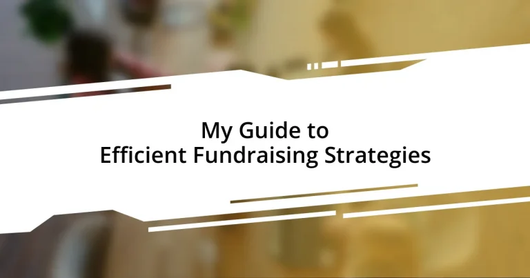 My Guide to Efficient Fundraising Strategies