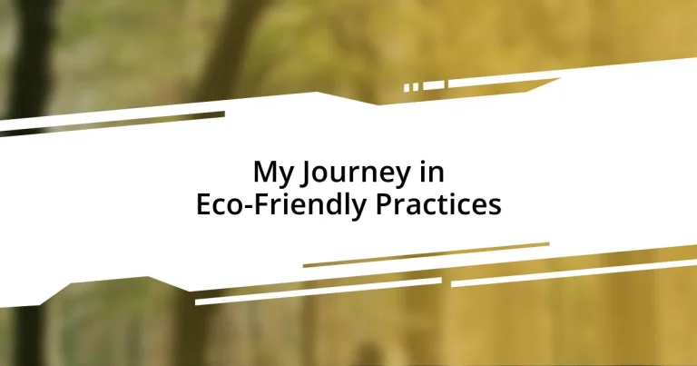 My Journey in Eco-Friendly Practices