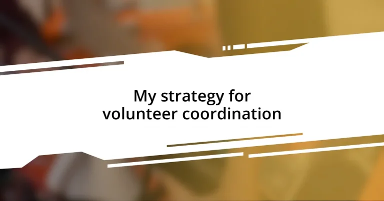 My strategy for volunteer coordination