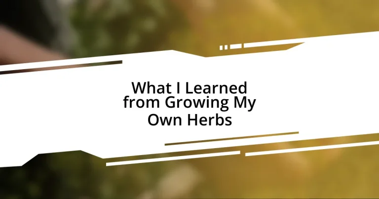 What I Learned from Growing My Own Herbs