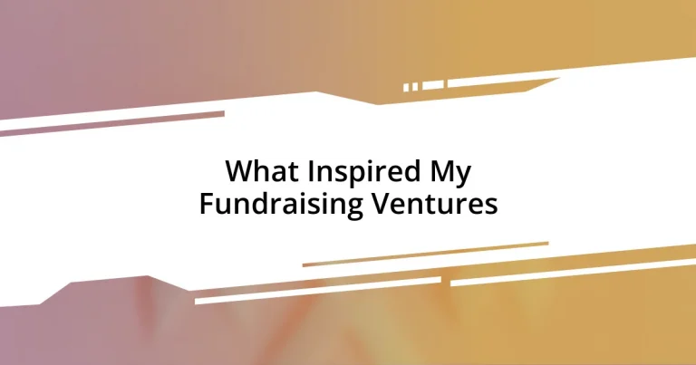 What Inspired My Fundraising Ventures