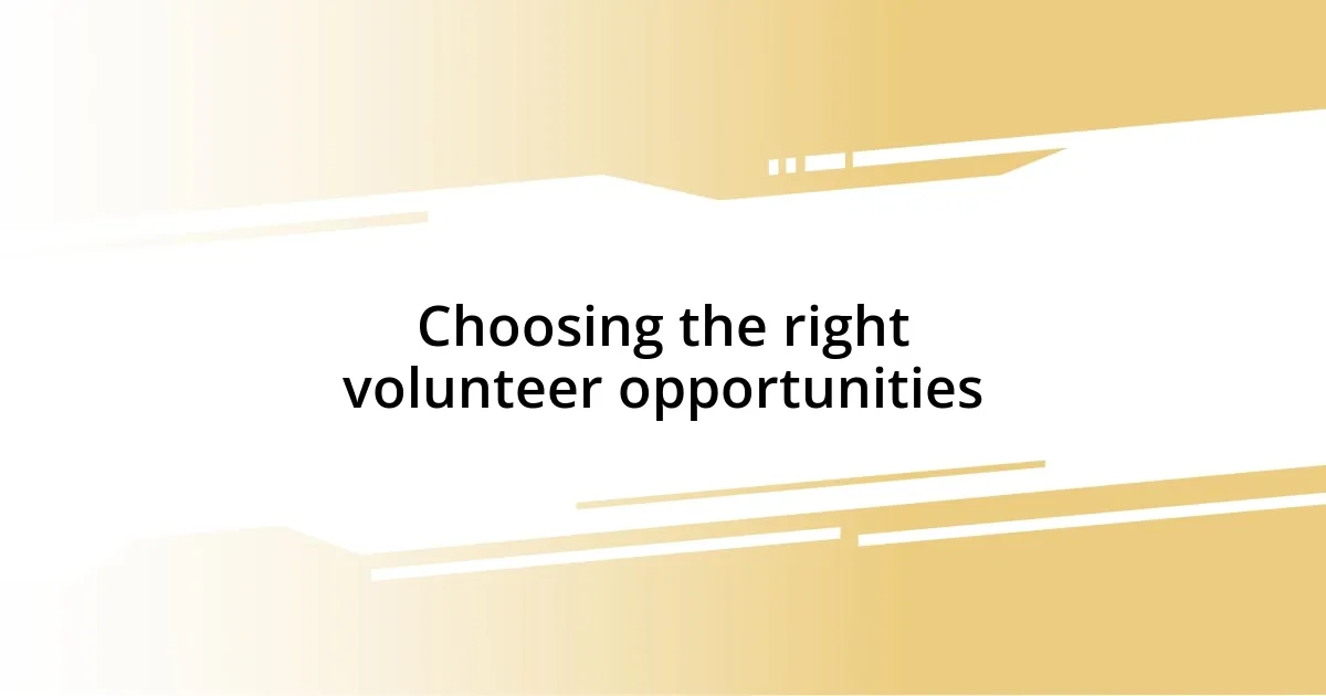 Choosing the right volunteer opportunities