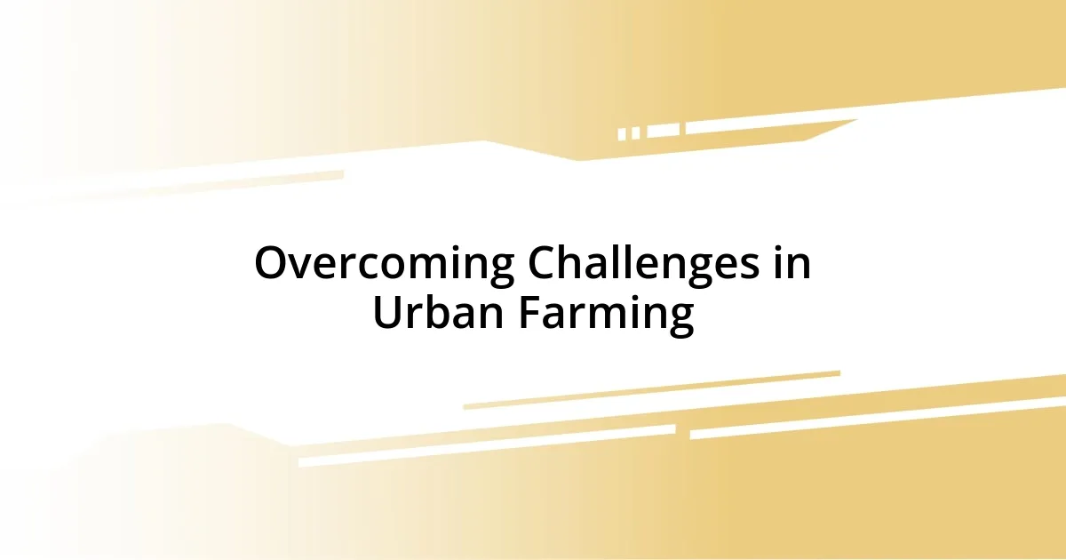 Overcoming Challenges in Urban Farming