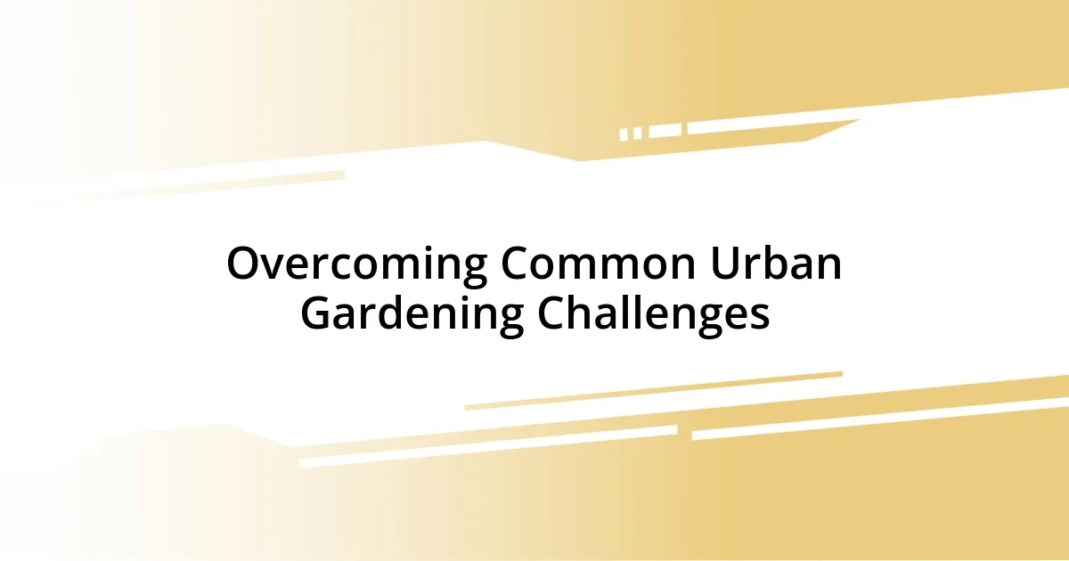 Overcoming Common Urban Gardening Challenges